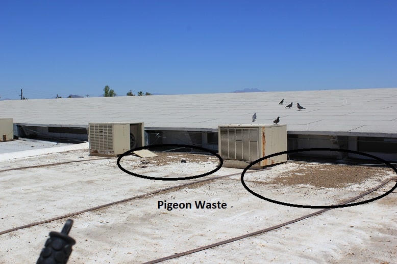 AZ commercial foam roofing with waste damage