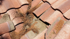 Inspect Your Mesa Roof For Signs Of Damage