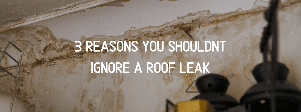 Roof Leak