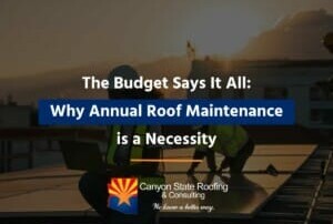 The Budget Says It All: Why Annual Roof Maintenance is a Necessity