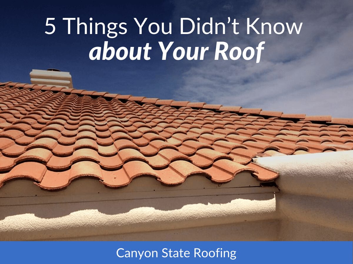 5 Things You Didn’t Know about Your Roof