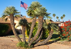 Foam Roof Installations In Thunder Mountain, Mesa