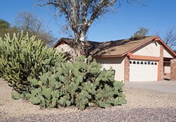 Searching For A Foam Roof Recoat In The Groves?