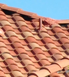 Villa-Style Tile Roofing 3-Tab Shingle Roofing Installations In Phoenix, AZ